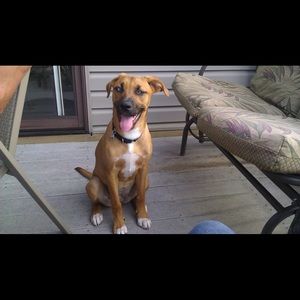 Meet your Posher, Heather